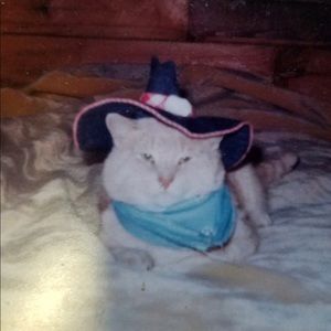 Meet your Posher, Bethany